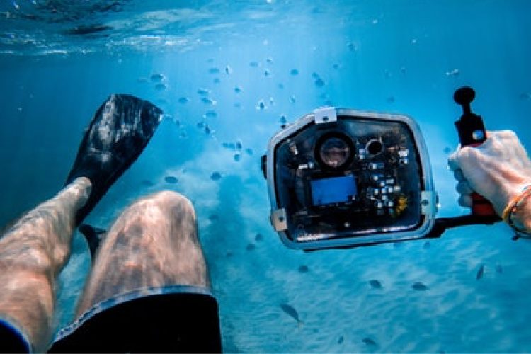 Proin ornare, quam non varius malesuada